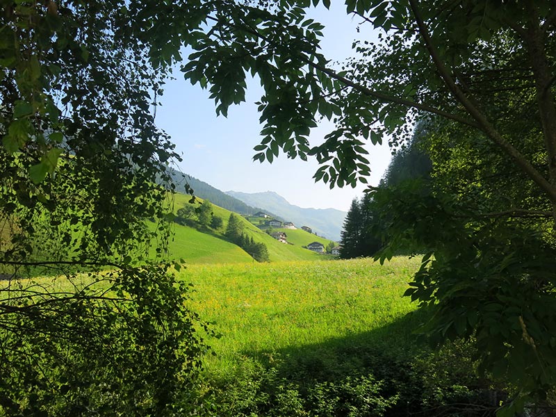 Schafseitenspitze